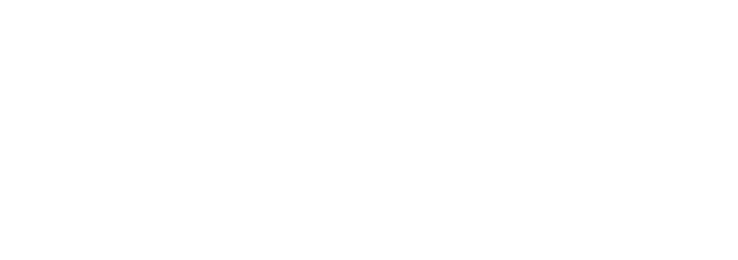 NM_Logo_digital_white